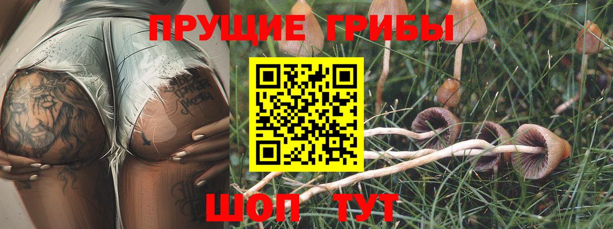 Галлюциногенные грибы GOLDEN TEACHER  Вход с VPN  Красногорск 