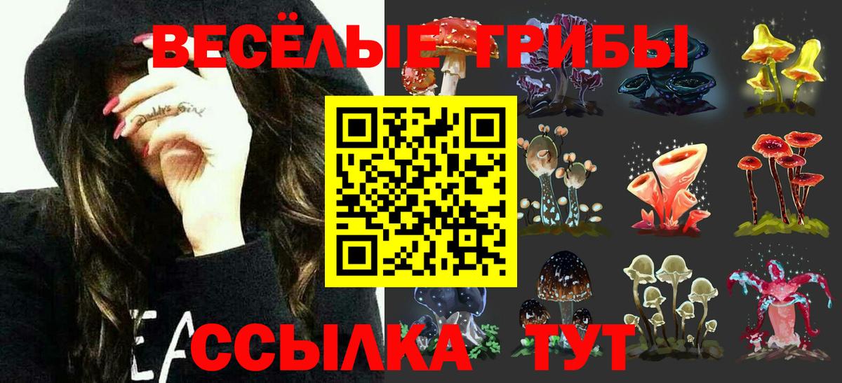 Галлюциногенные грибы мицелий Красногорск
